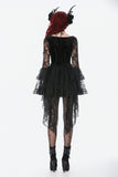 Classic Gothic Velvet & Lace Embroidered Dress DW1128 - Gothlolibeauty