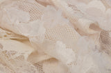 Steampunk irreqular frilly lace dress DW451